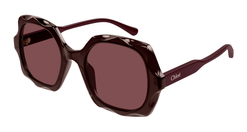 サングラス CHLOE Brown Acetate Sunglasses AQfoAXu0Vh3XOkueRkiNm-