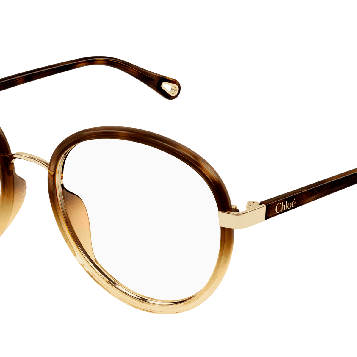 ちゃーこ803530 Eyeglasses Chloé CH0308O 002 53-20 Tortoise in stock | Visiofactory