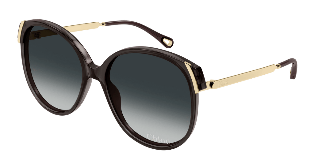 Chloe ロゴ サイド フラワーデザイン サングラス ラメ DarkGreen Chloe ロゴ サイド フラワーデザイン サングラス ラメ DarkGreen