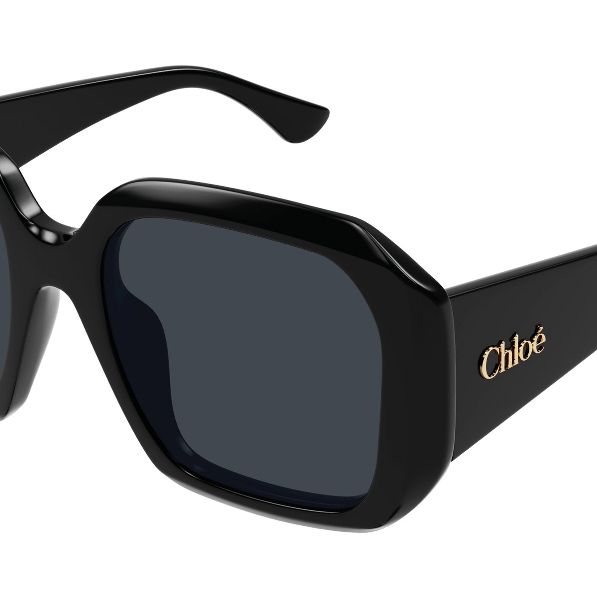 Chloe CH0300S Sunglasses | Select Eyewear