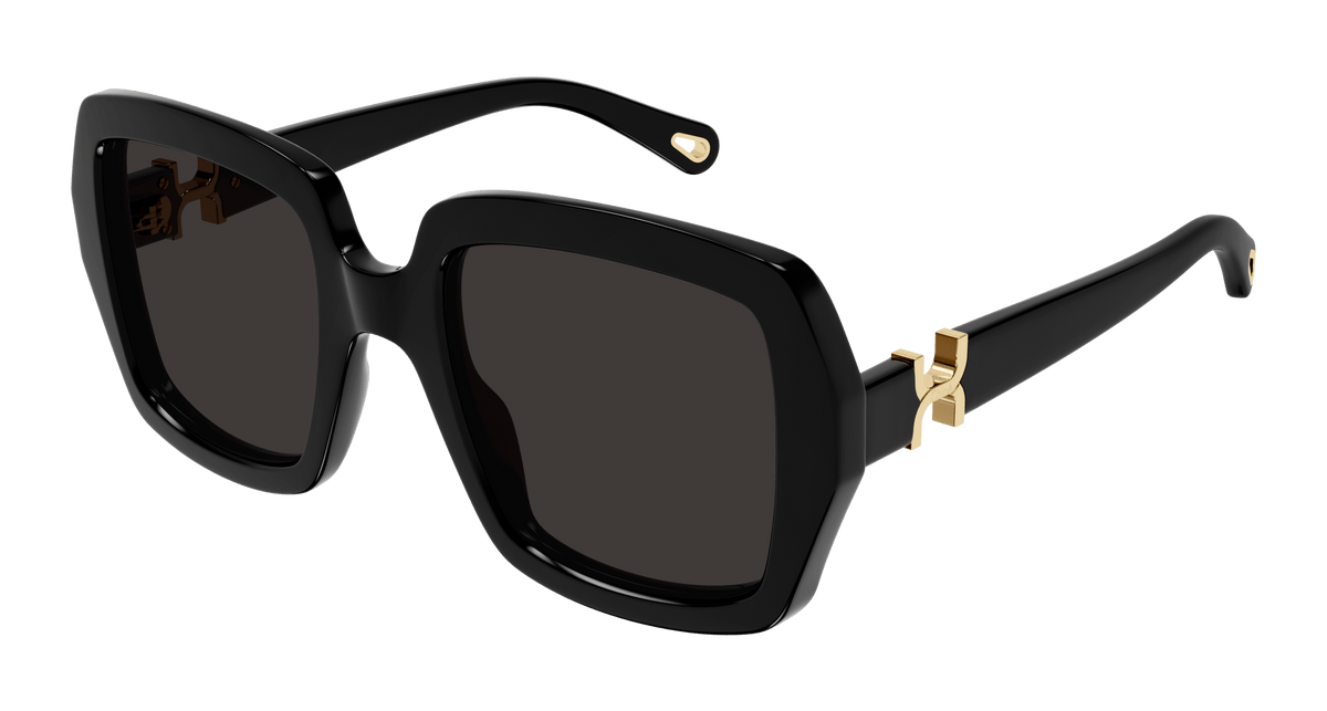 Chloe CH0301S Sunglasses | Select Eyewear