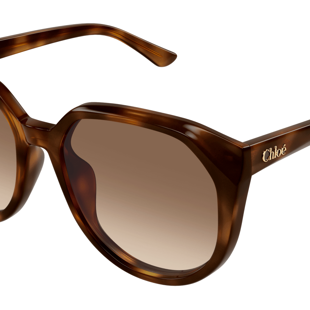 Chloe CH0291SK Sunglasses | Select Eyewear