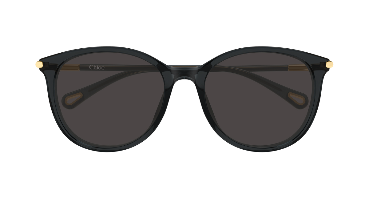 CH0397SK