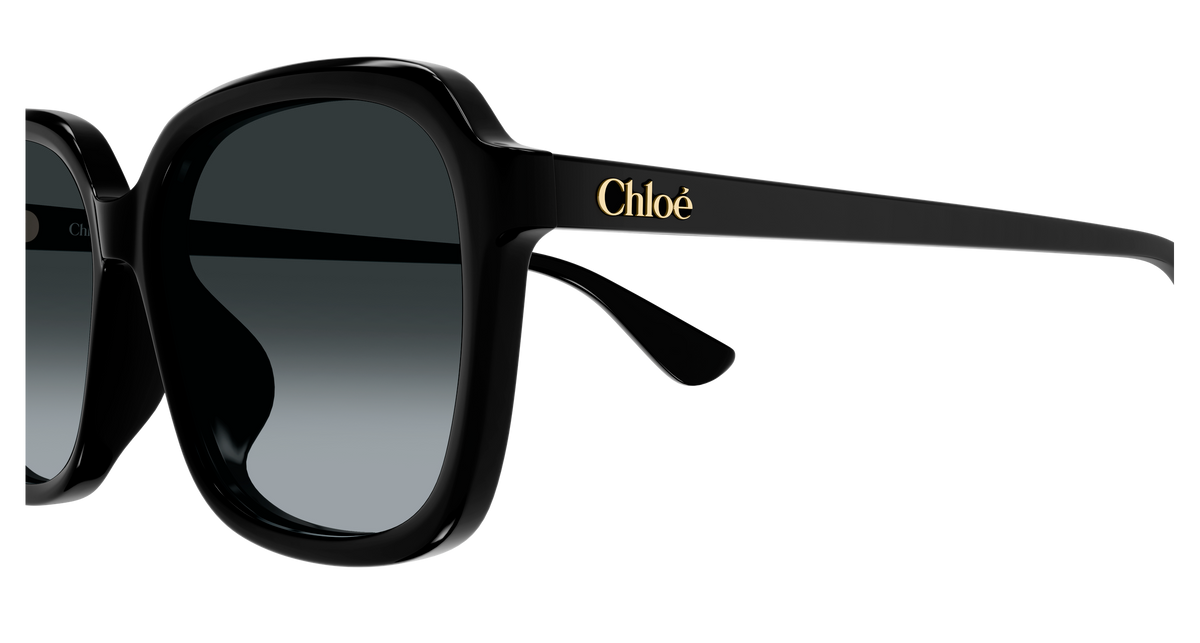 CH0390SK