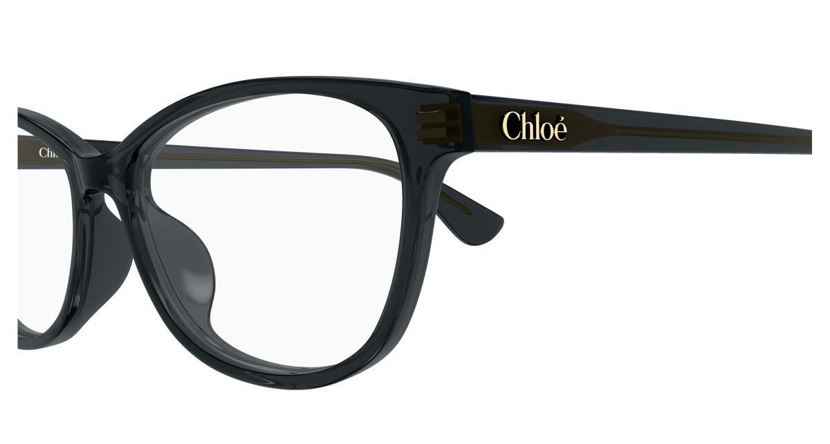 CH0394OL