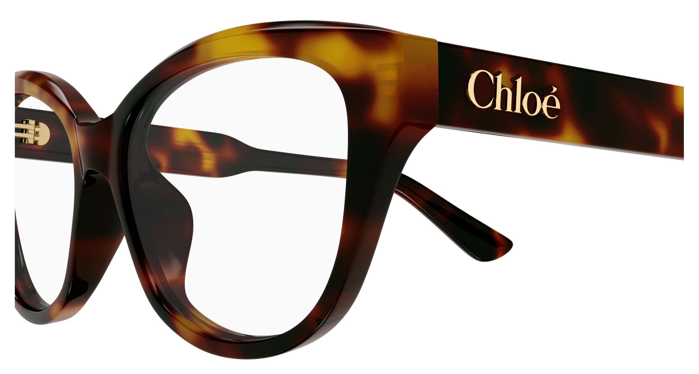 CH0381OL