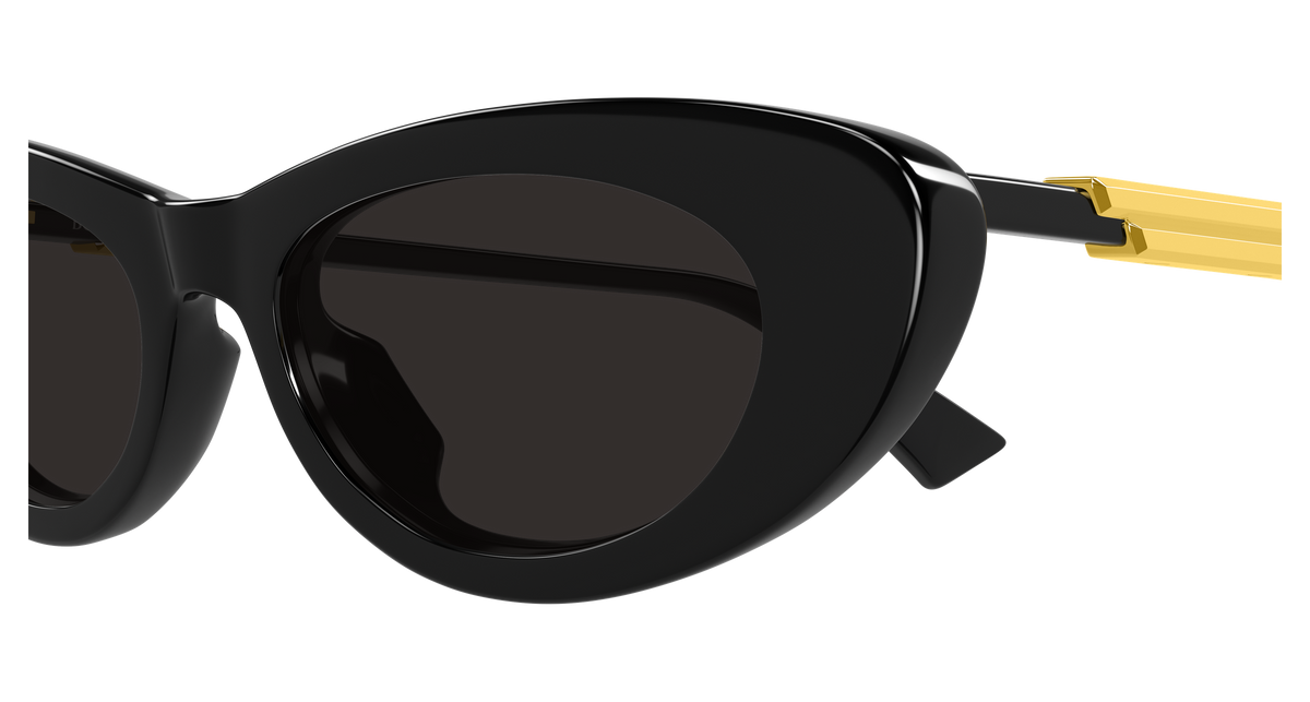 BV1447S