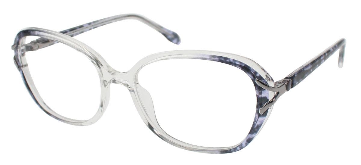 CLEARVISION AMIRA