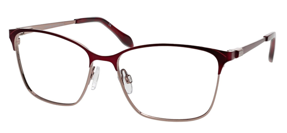 CLEARVISION REAGAN