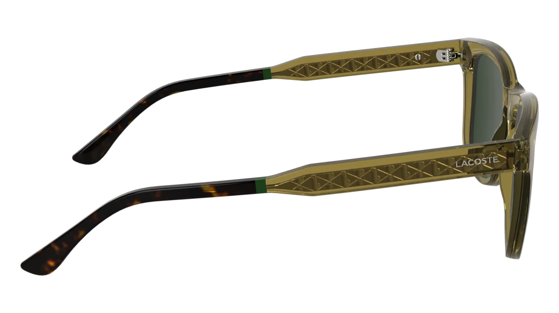 L6060S