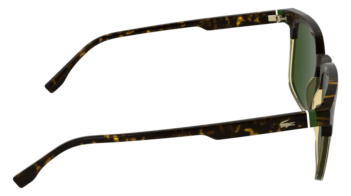 L6074S