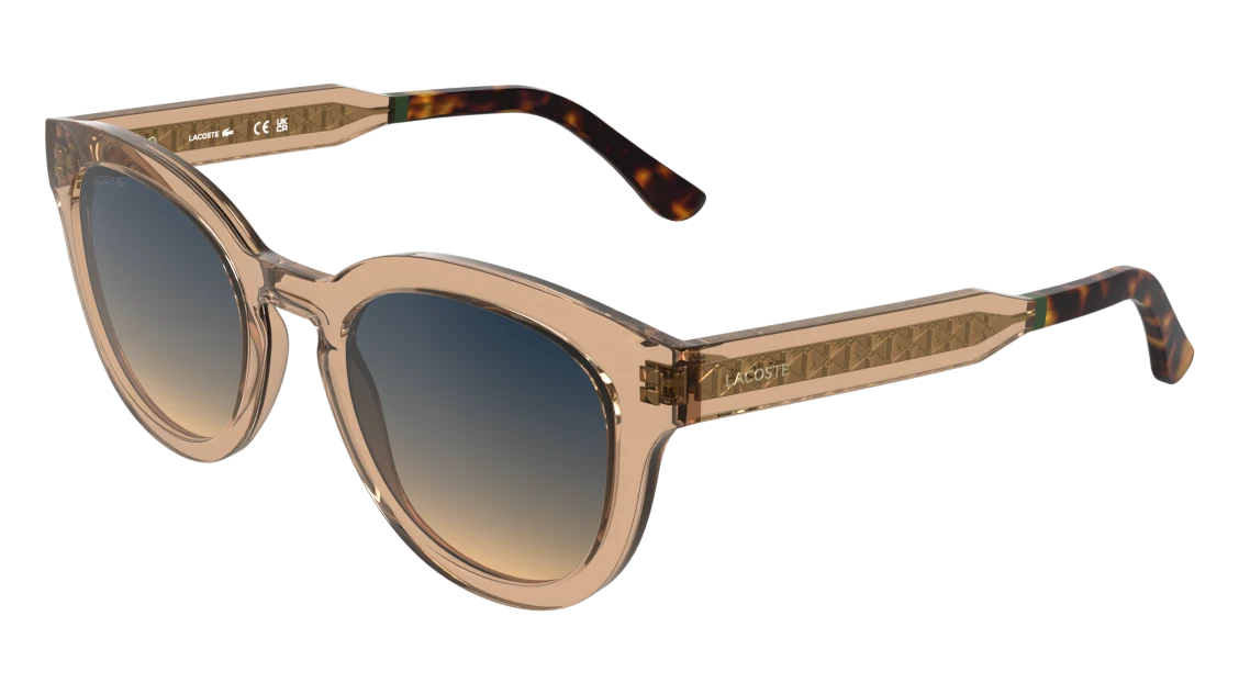 L6070S