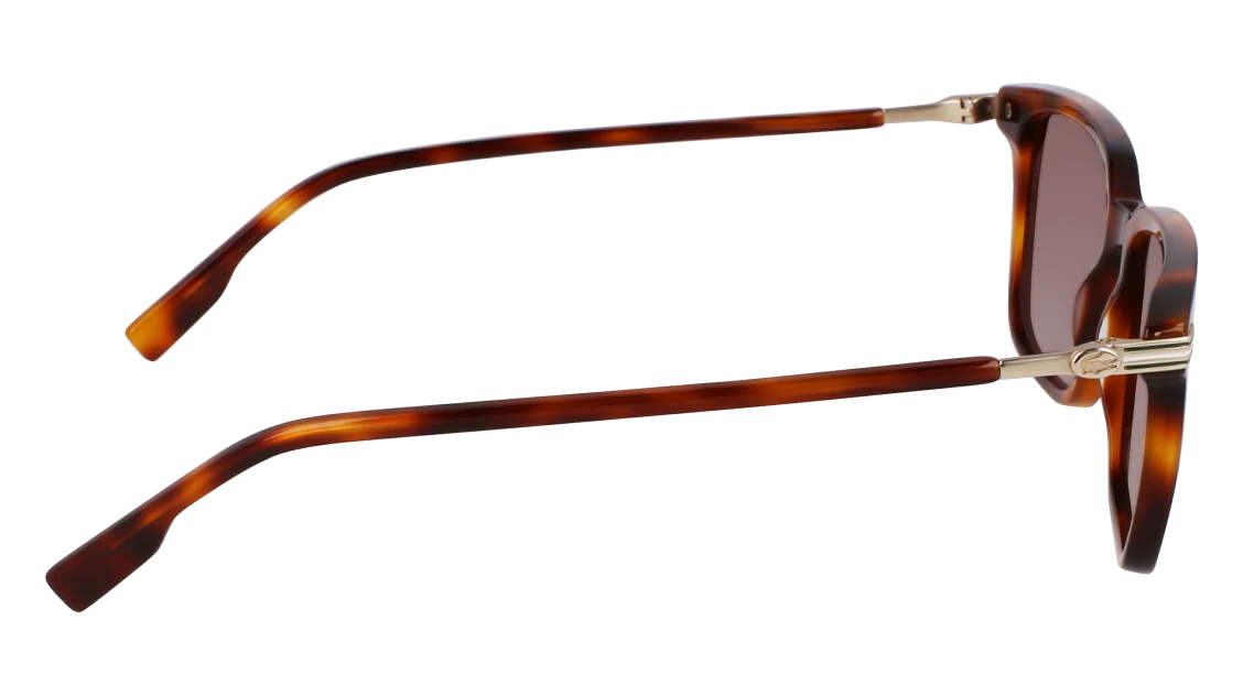 L6035S