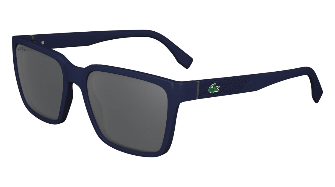 L6011S N