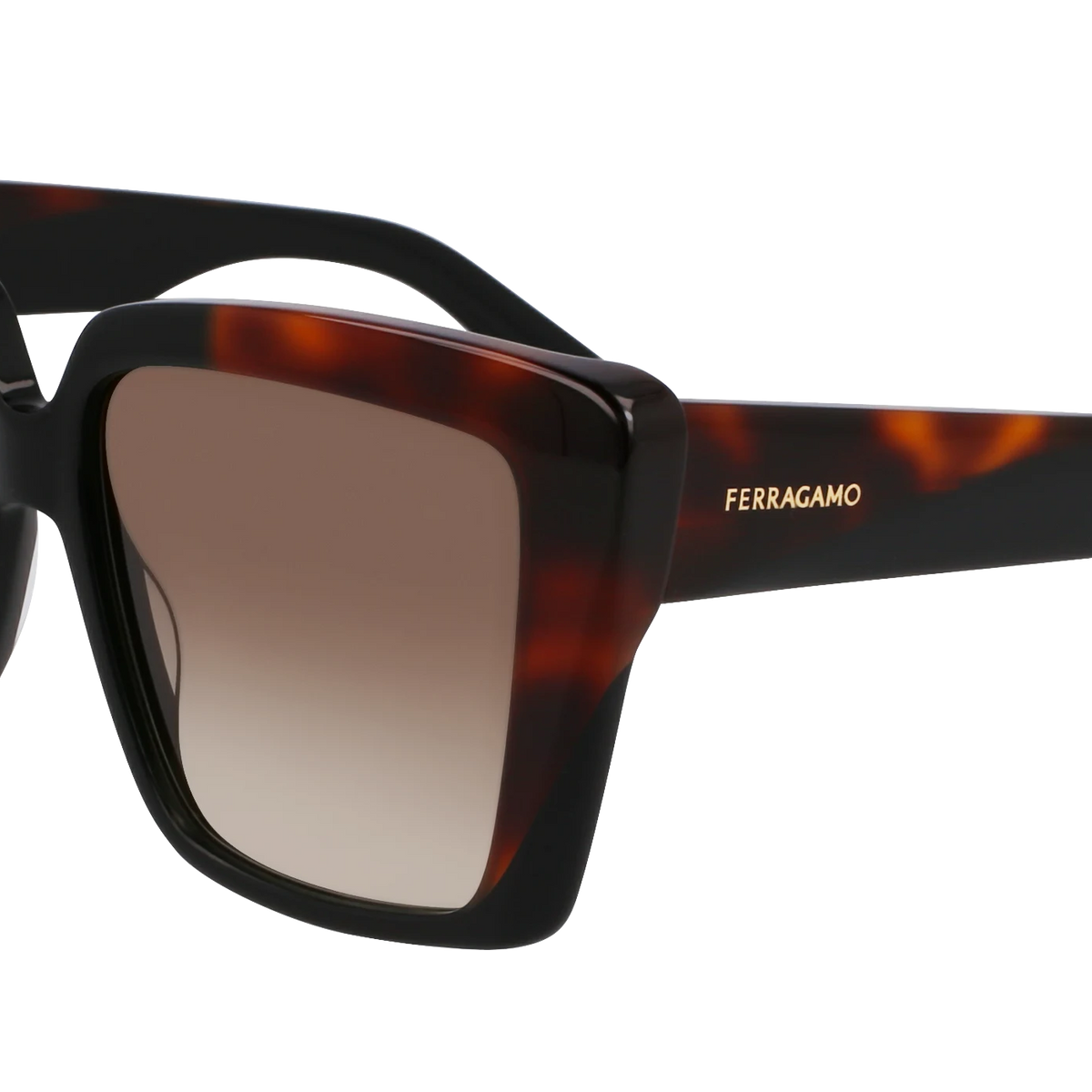 Ferragamo SF1060SN Sunglasses | Select Eyewear display picture 2