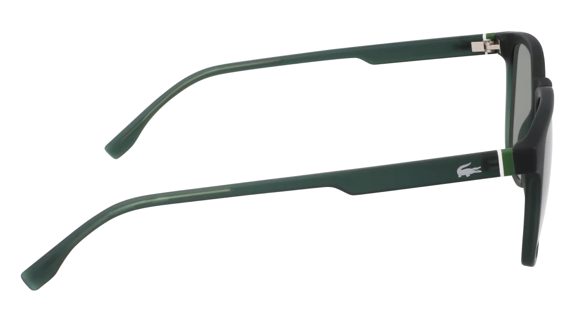 L6029S