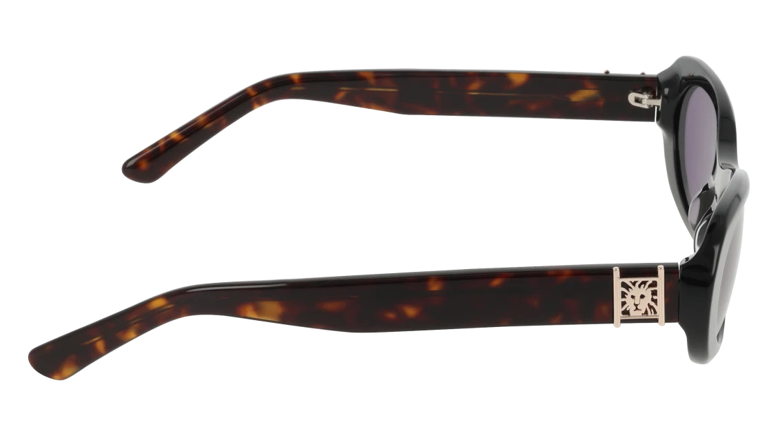 AK7113