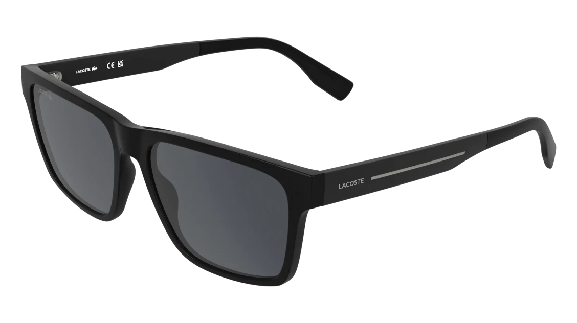 L6100S