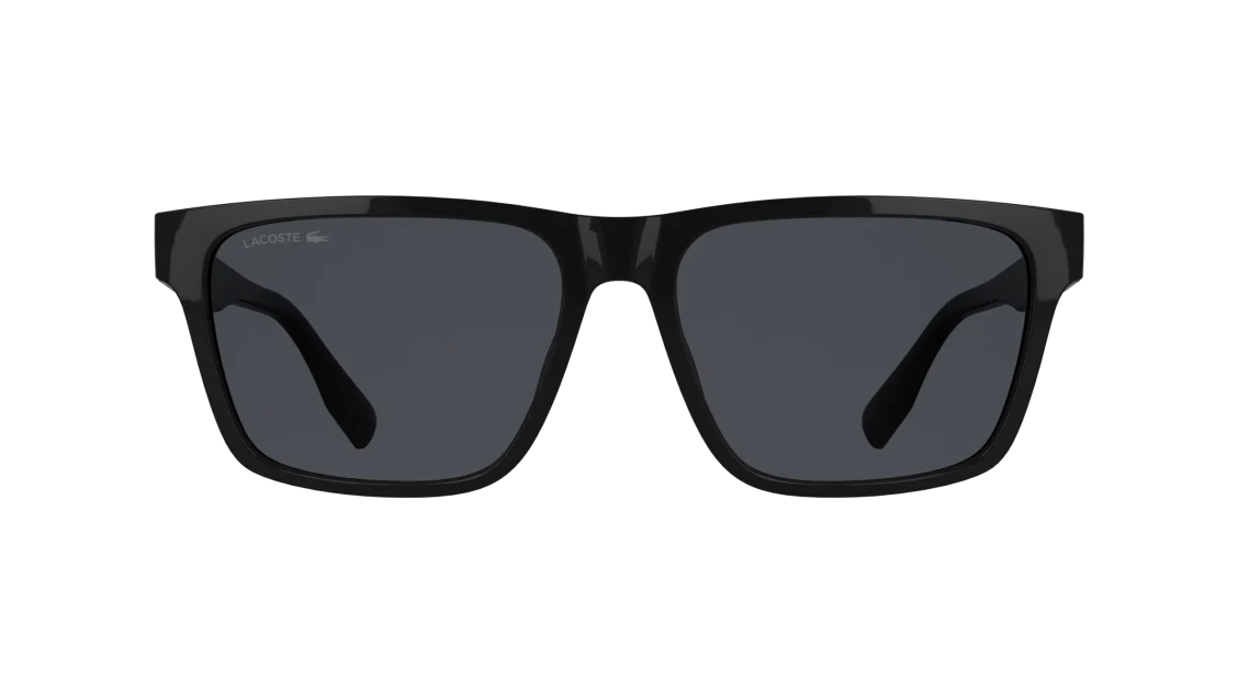L6100S