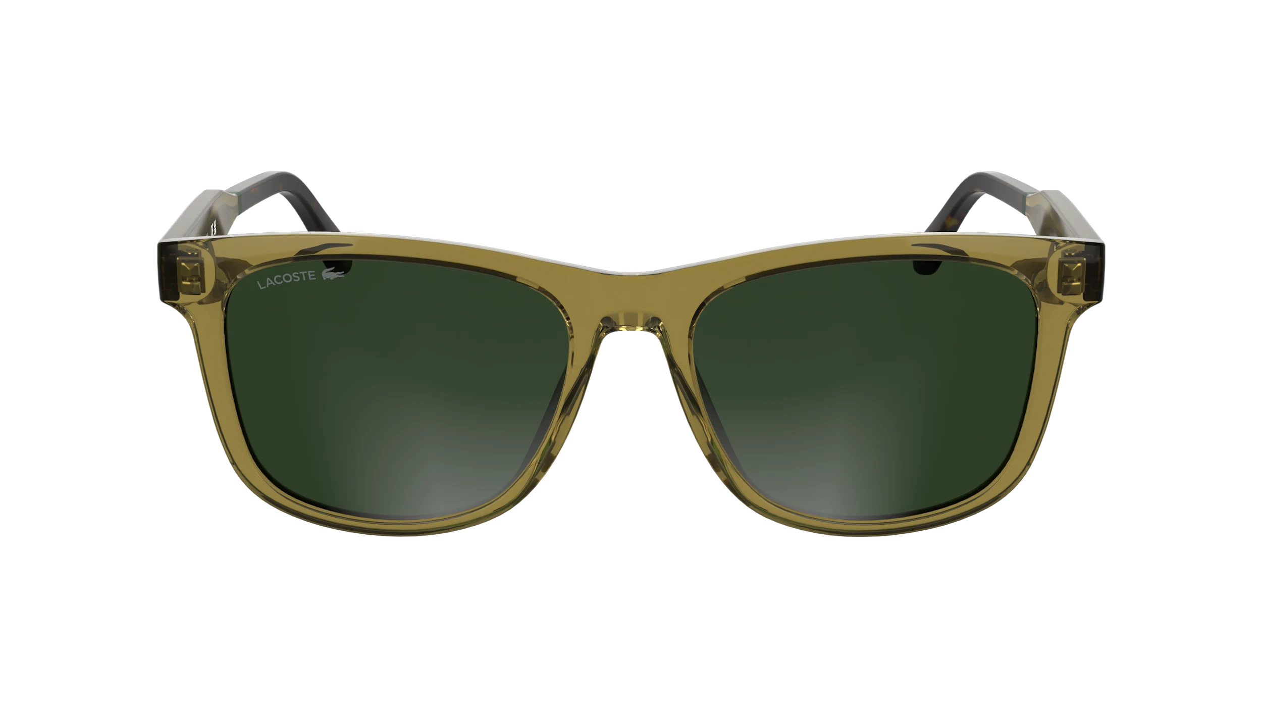 L6060S