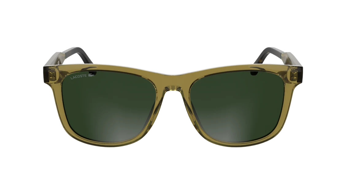 L6060S
