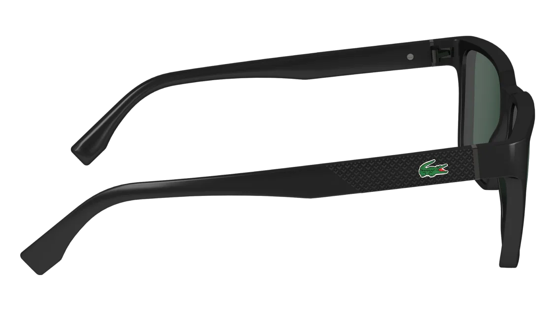 L6011S N
