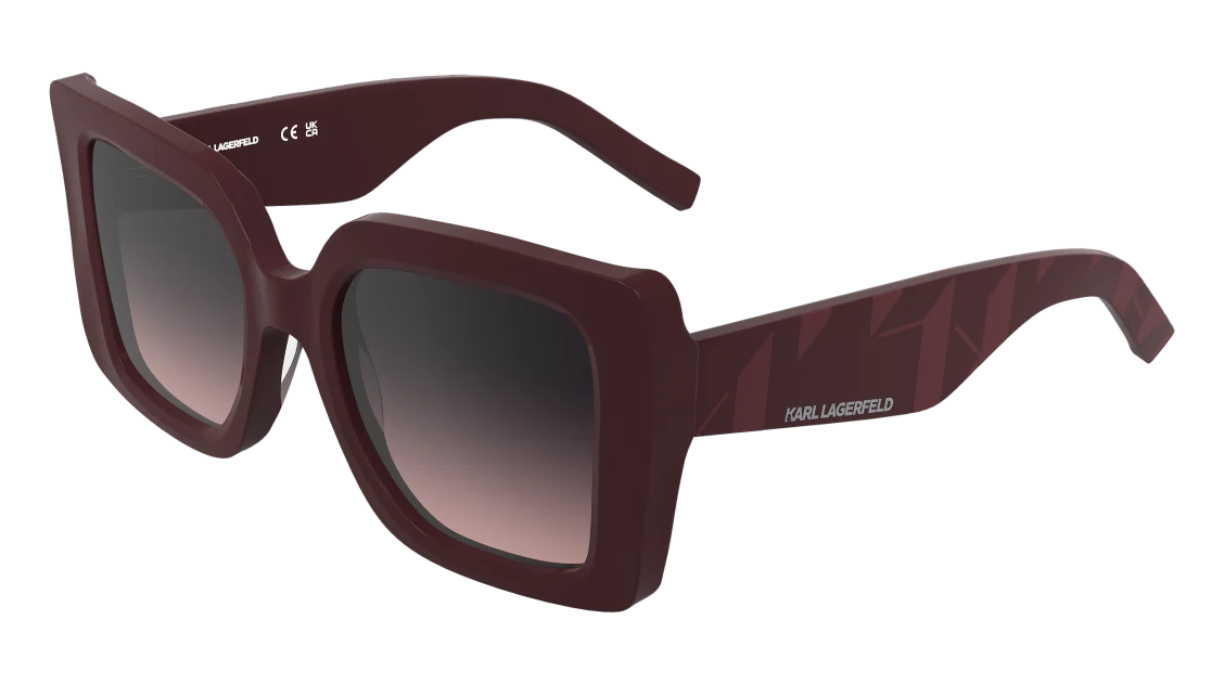 KL6203S