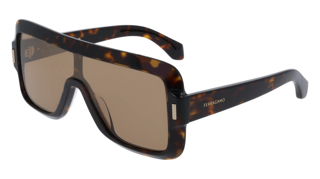Ferragamo SF2061SE Sunglasses | Select Eyewear