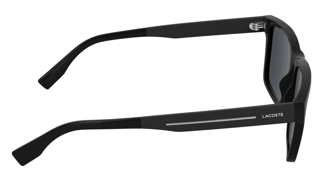 L6100S