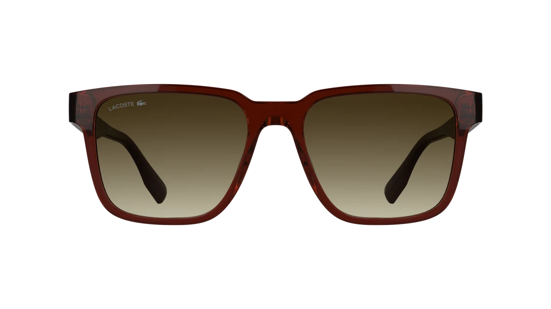 L6101S