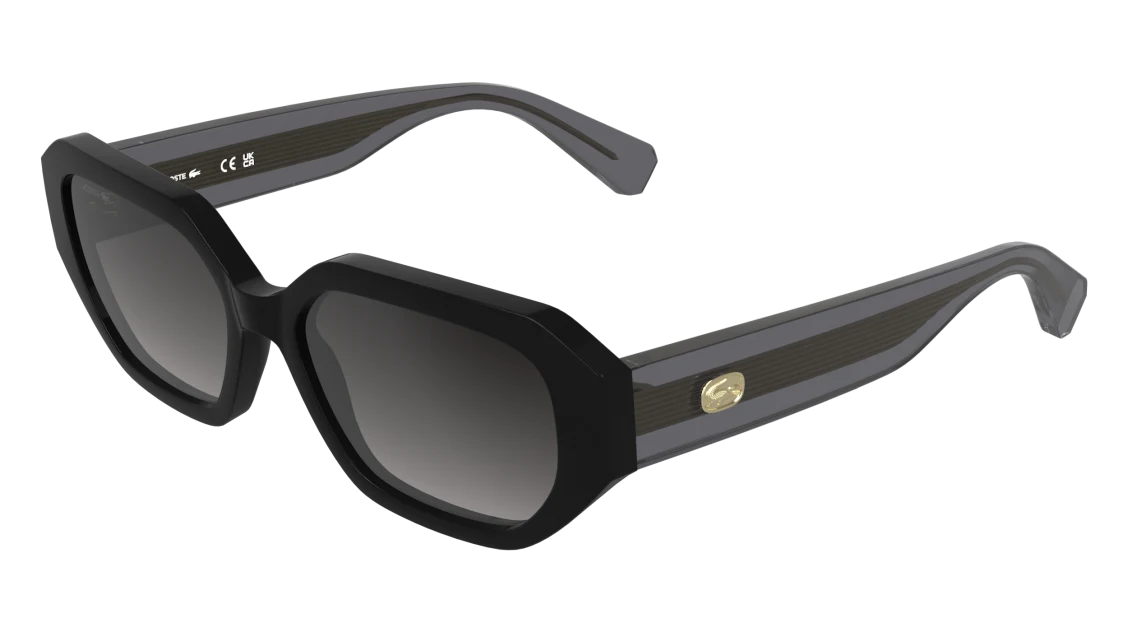 L6091S