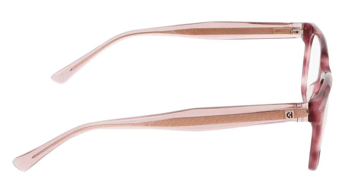 CH5058