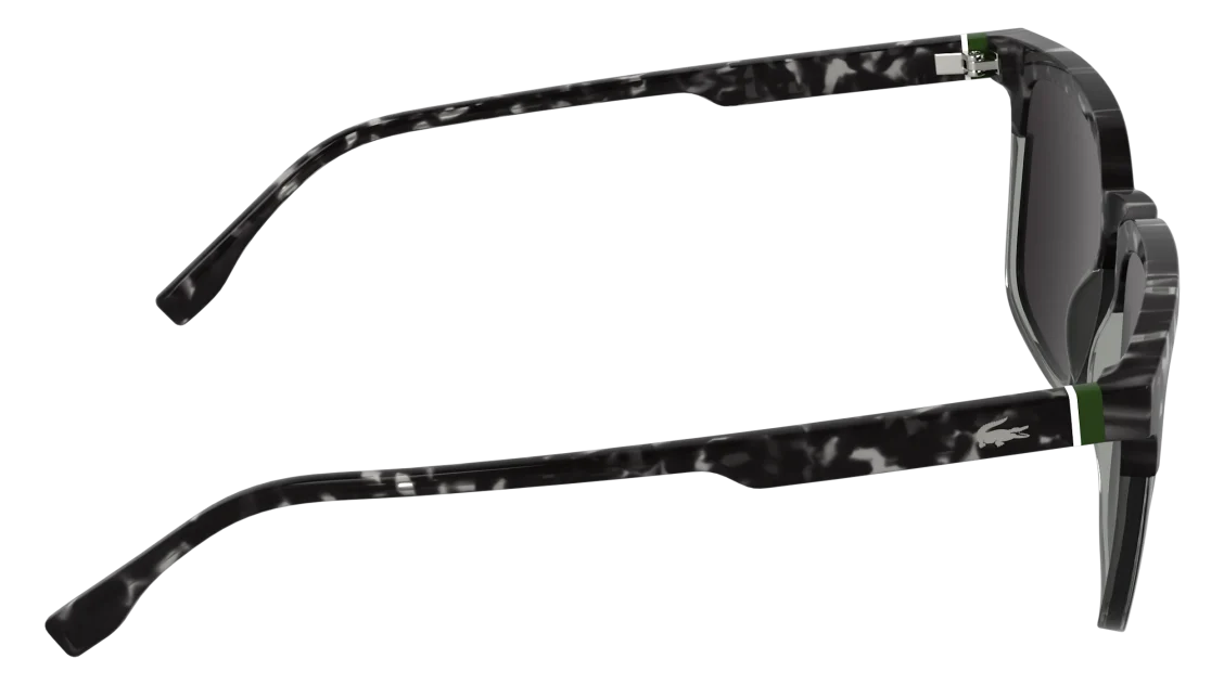 L6074S
