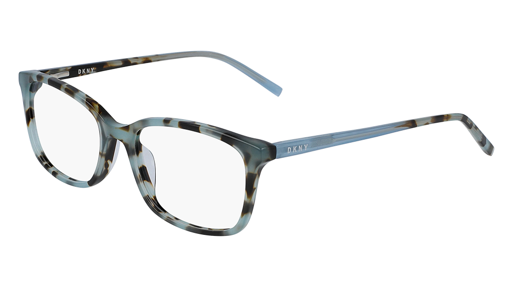 DKNY DK5008 Eyeglasses | Select Eyewear display picture 2