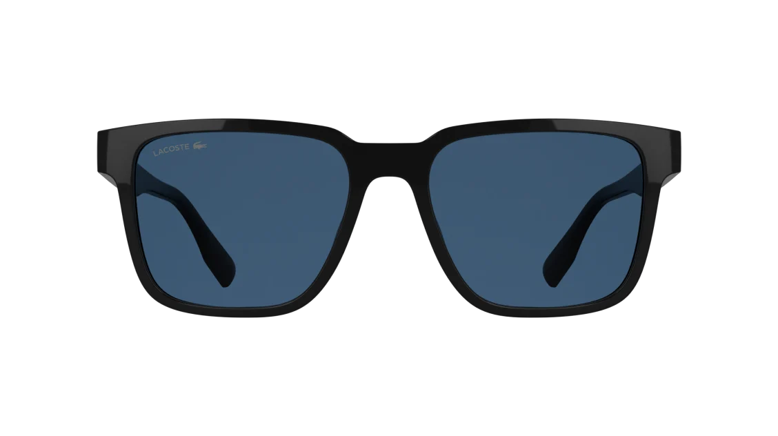 L6101S