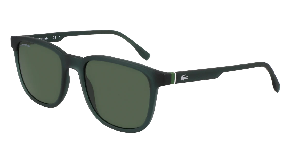 L6029S