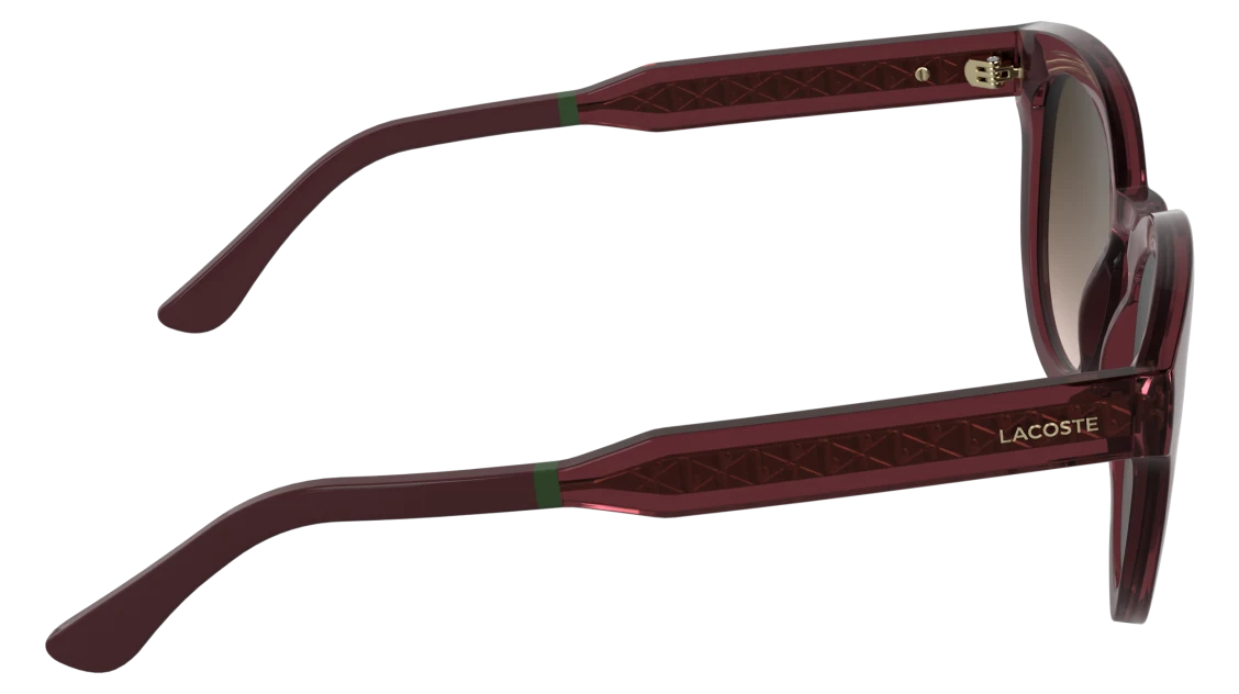 L6070S