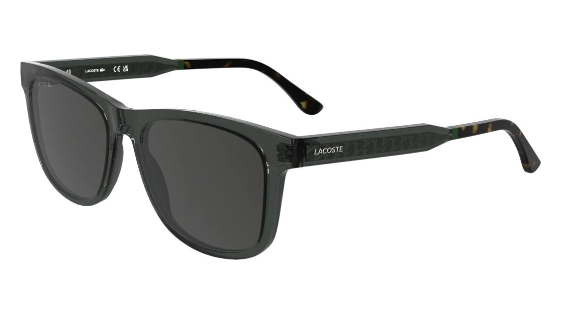 L6060S