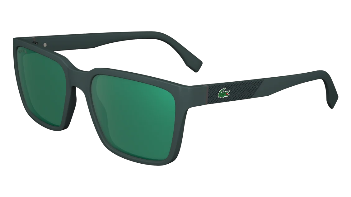 L6011S