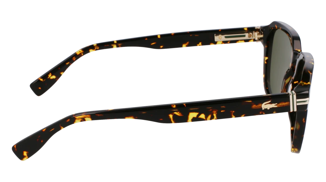 L6046S N
