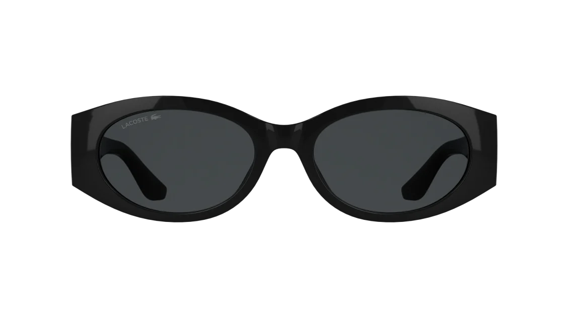 L6109S