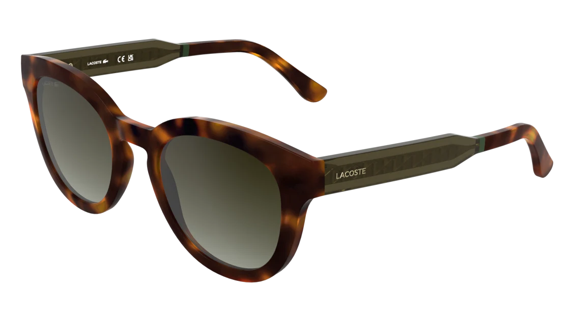 L6070S