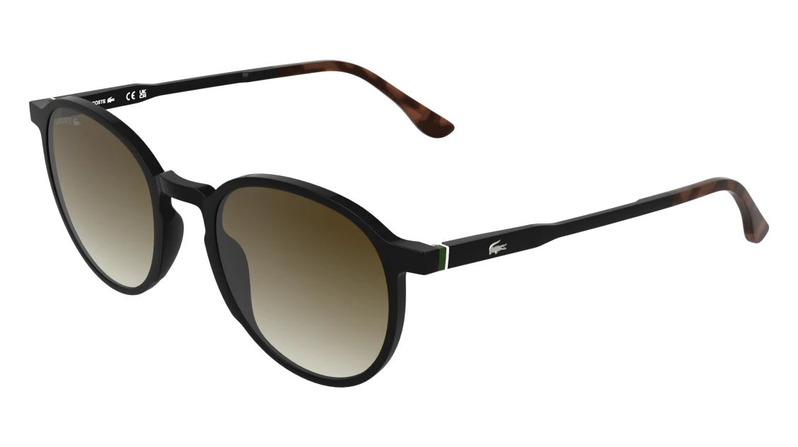 L6105S
