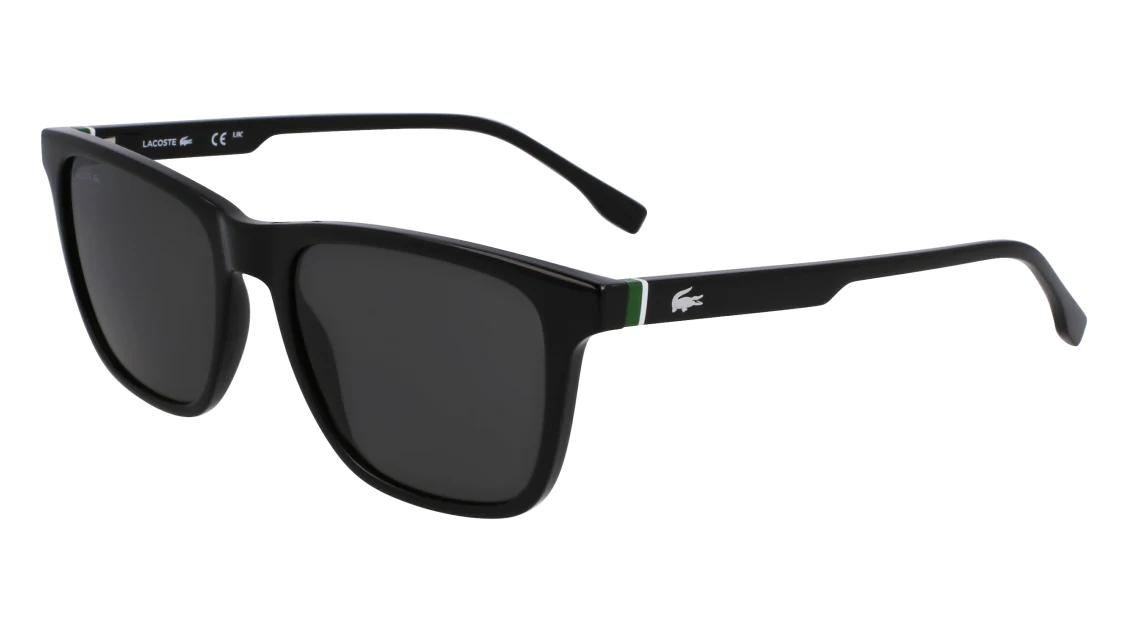L6041S N