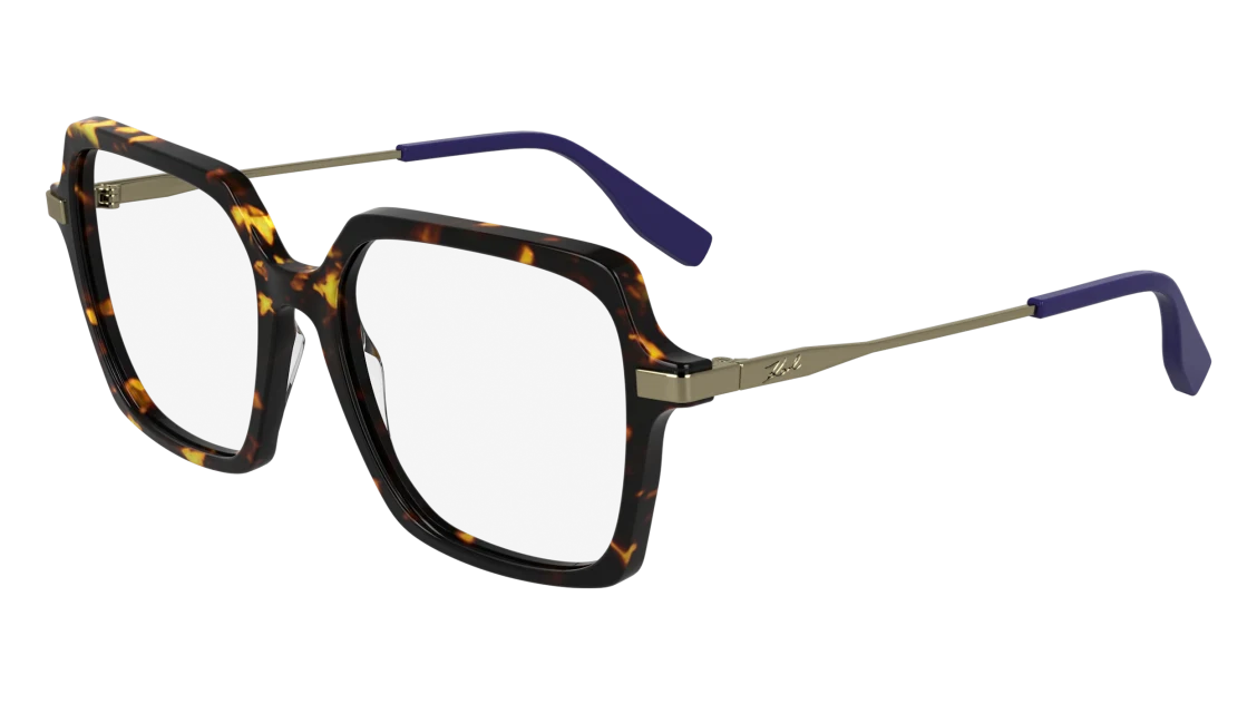 KL6172 N
