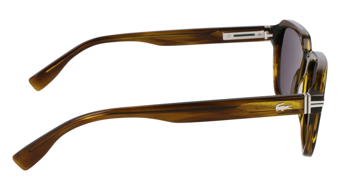 L6046S N