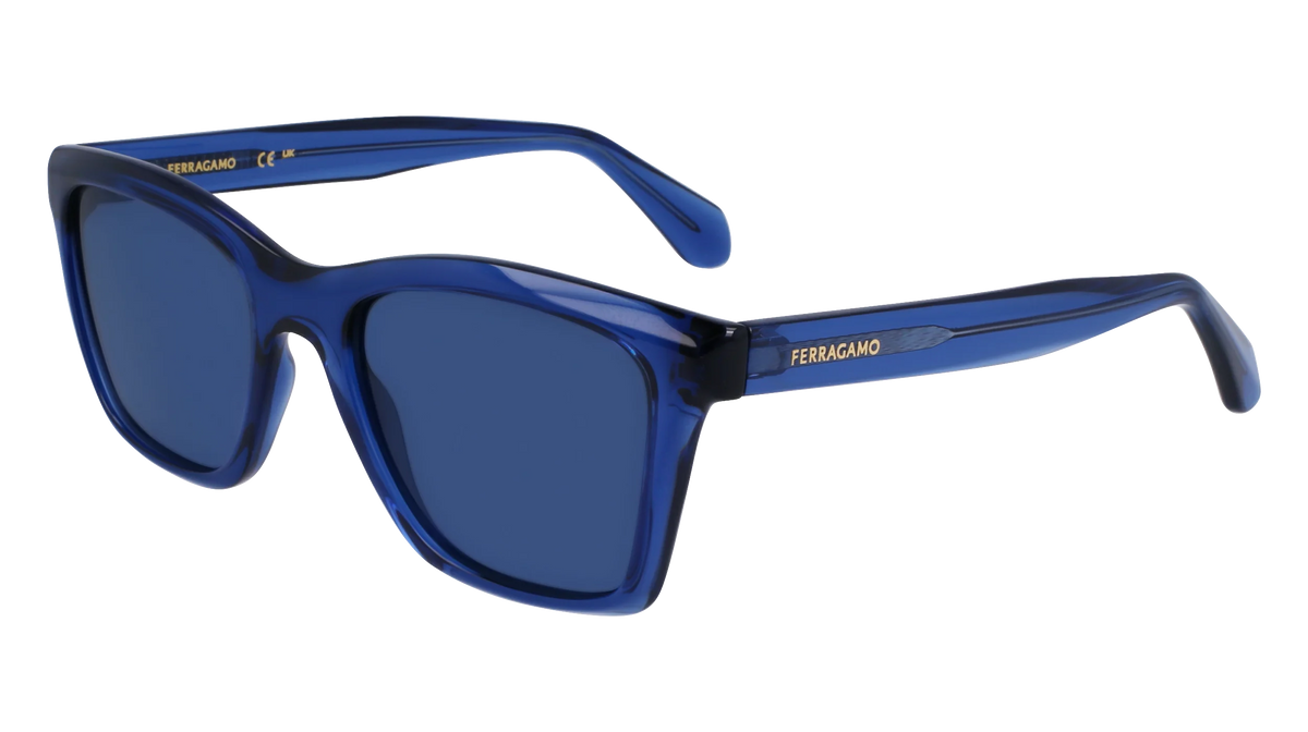 NWT Salvatore Ferragamo SF2001S Black Rectangle 54mm Sunglasses Ferragamo SF2001S Sunglasses | Select Eyewear main image 4