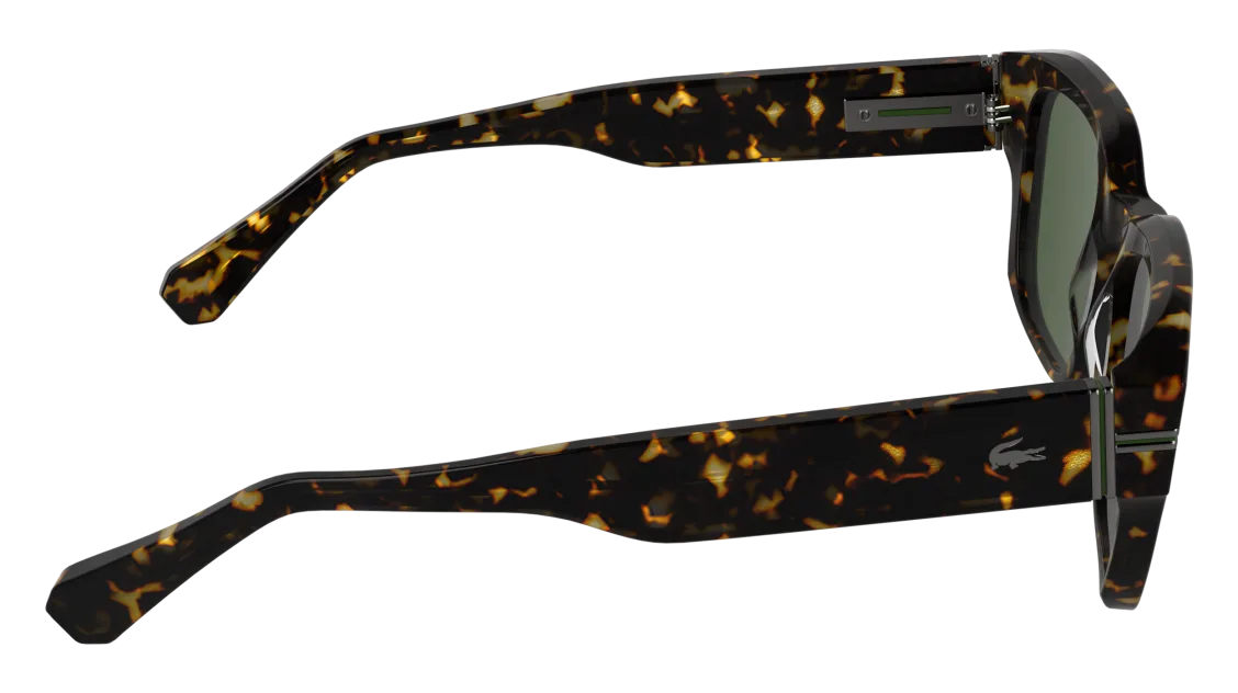 L6093S