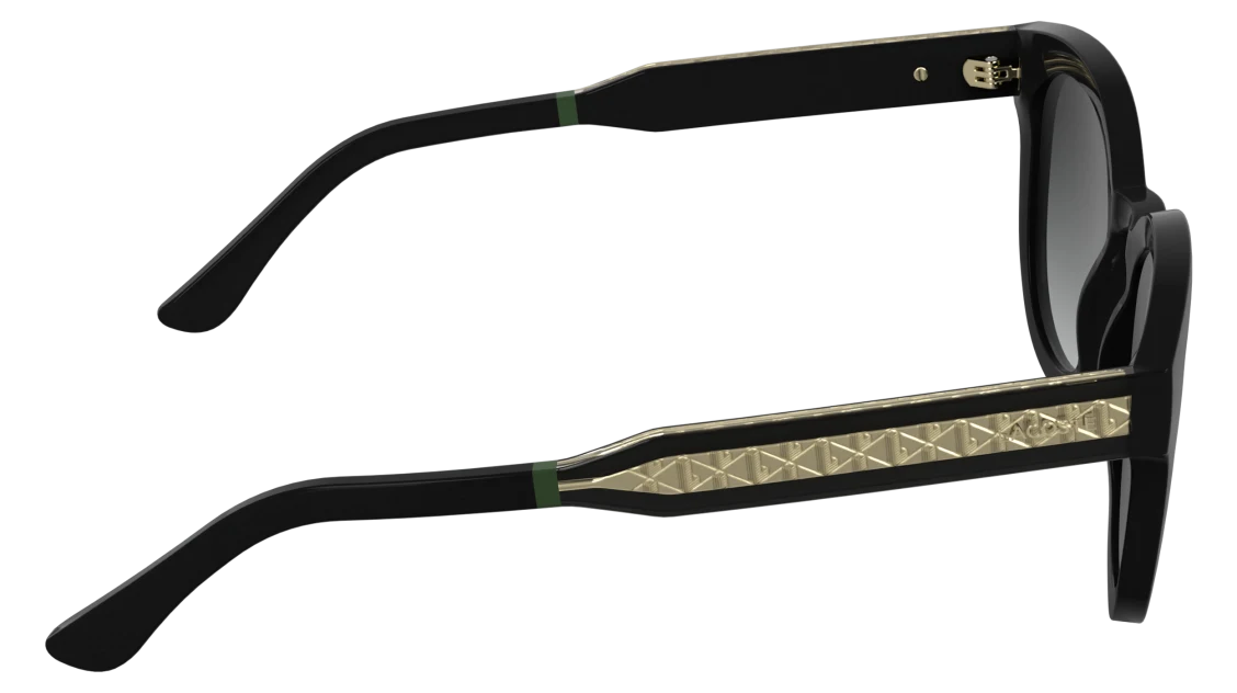 L6070S