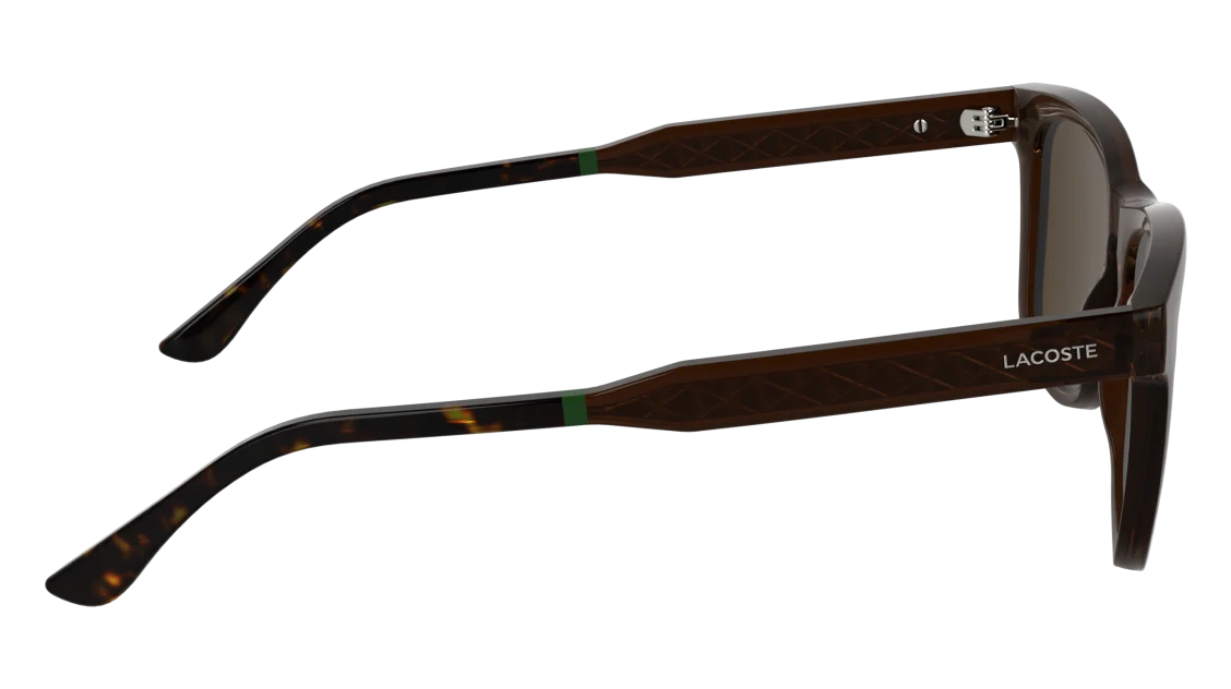L6060S